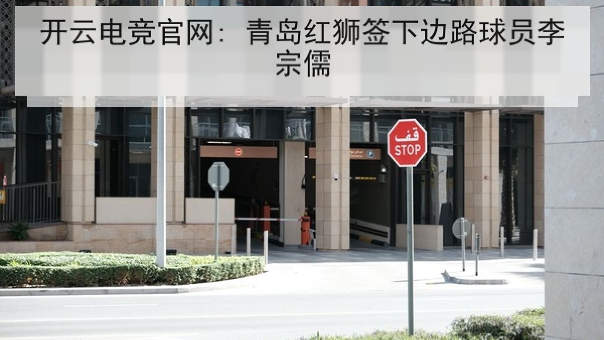 开云电竞官网: 青岛红狮签下边路球员李宗儒