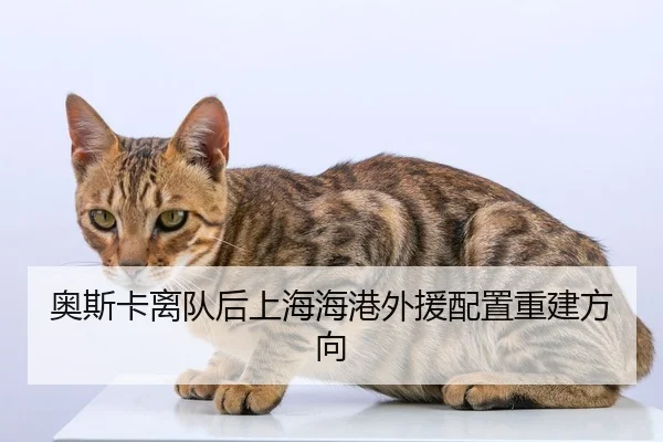 奥斯卡离队后上海海港外援配置重建方向