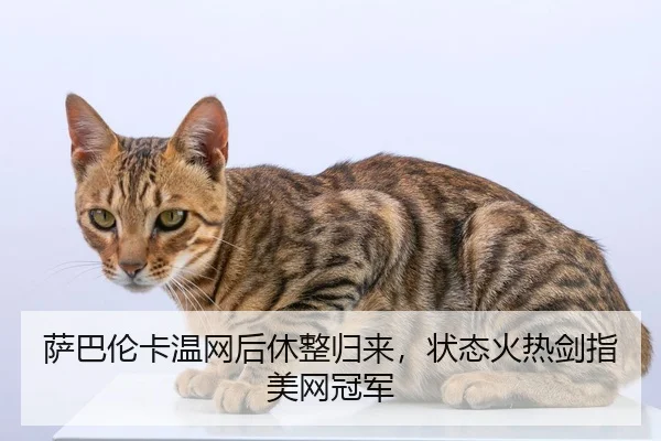 萨巴伦卡温网后休整归来，状态火热剑指美网冠军