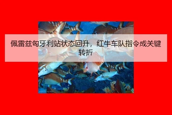 pei-lei-zi-xiong-ya-li-zhan-zhuang-tai-hui-sheng-hong-niu-che-dui-zhi-ling-cheng-guan-jian-zhuan-zhe-3-341.jpg