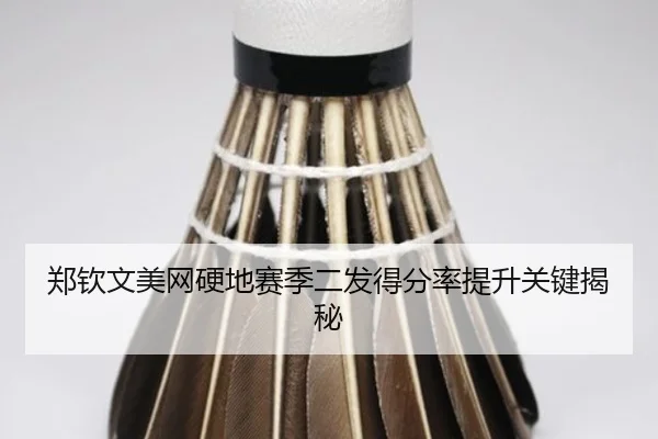 zheng-qin-wen-mei-wang-ying-di-sai-ji-er-fa-de-fen-lv-ti-sheng-guan-jian-jie-mi-2-355.jpg