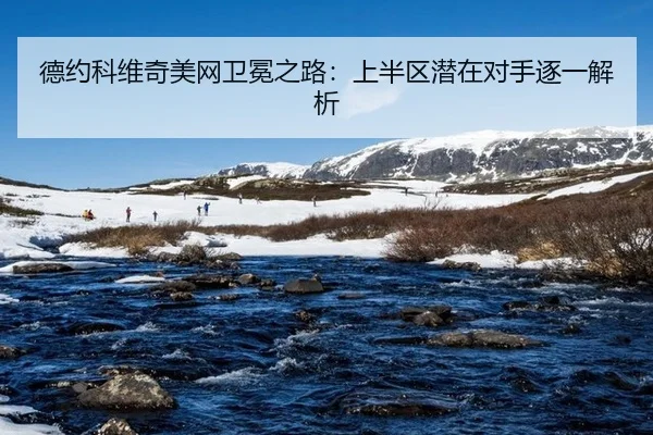 de-yue-ke-wei-qi-mei-wang-wei-mian-zhi-lu-shang-ban-qu-qian-zai-dui-shou-zhu-yi-jie-xi-2-510.jpg